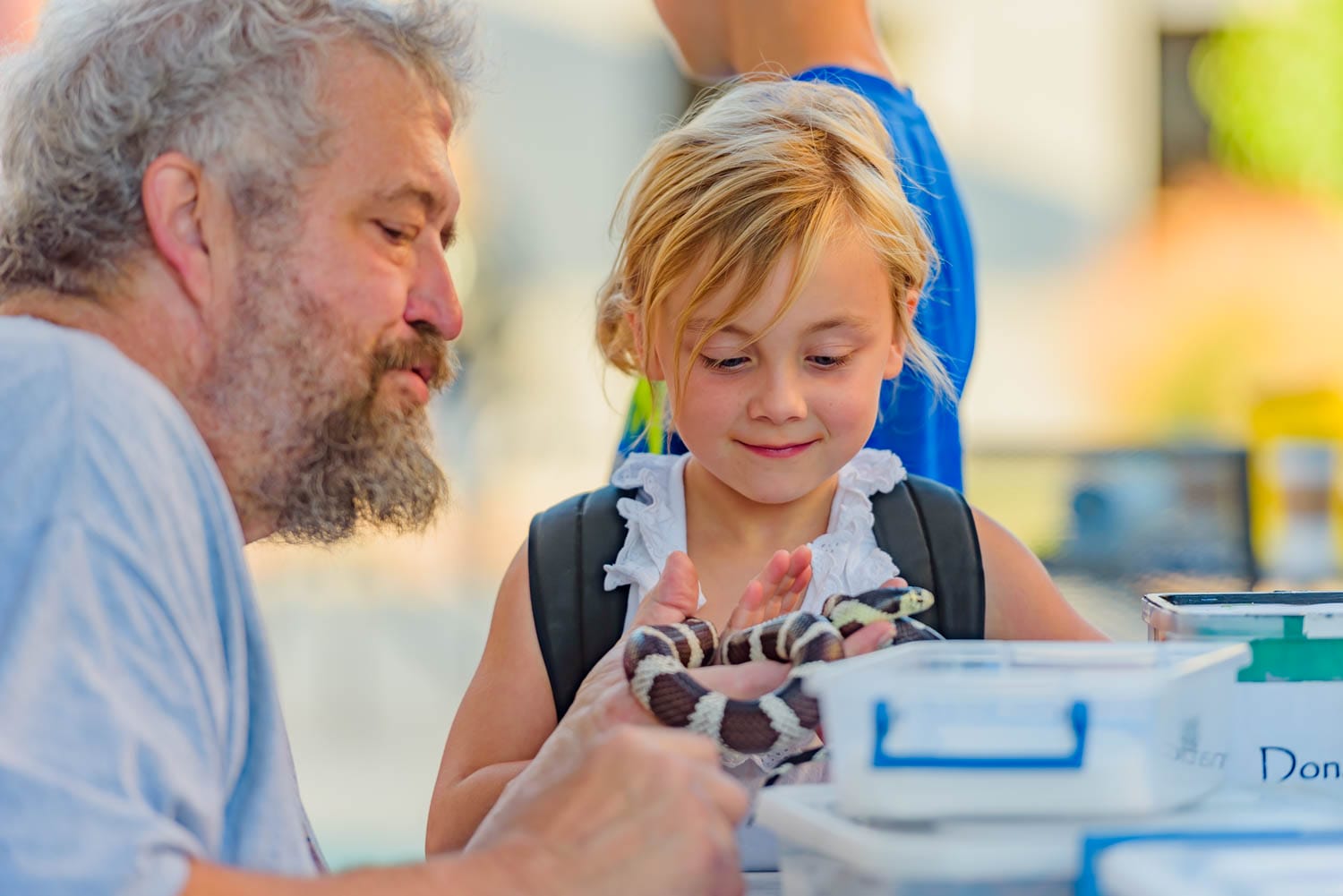 Man and girl examine a king snake.