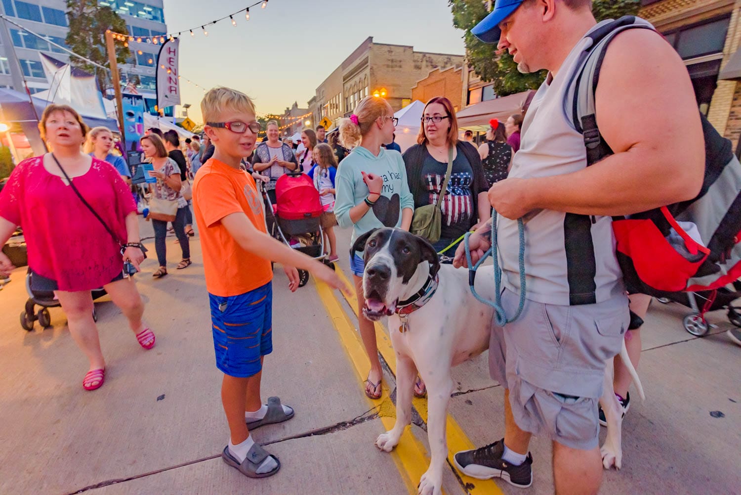 Boy reaching to pet a large black and white dog on a street with people and stalls.