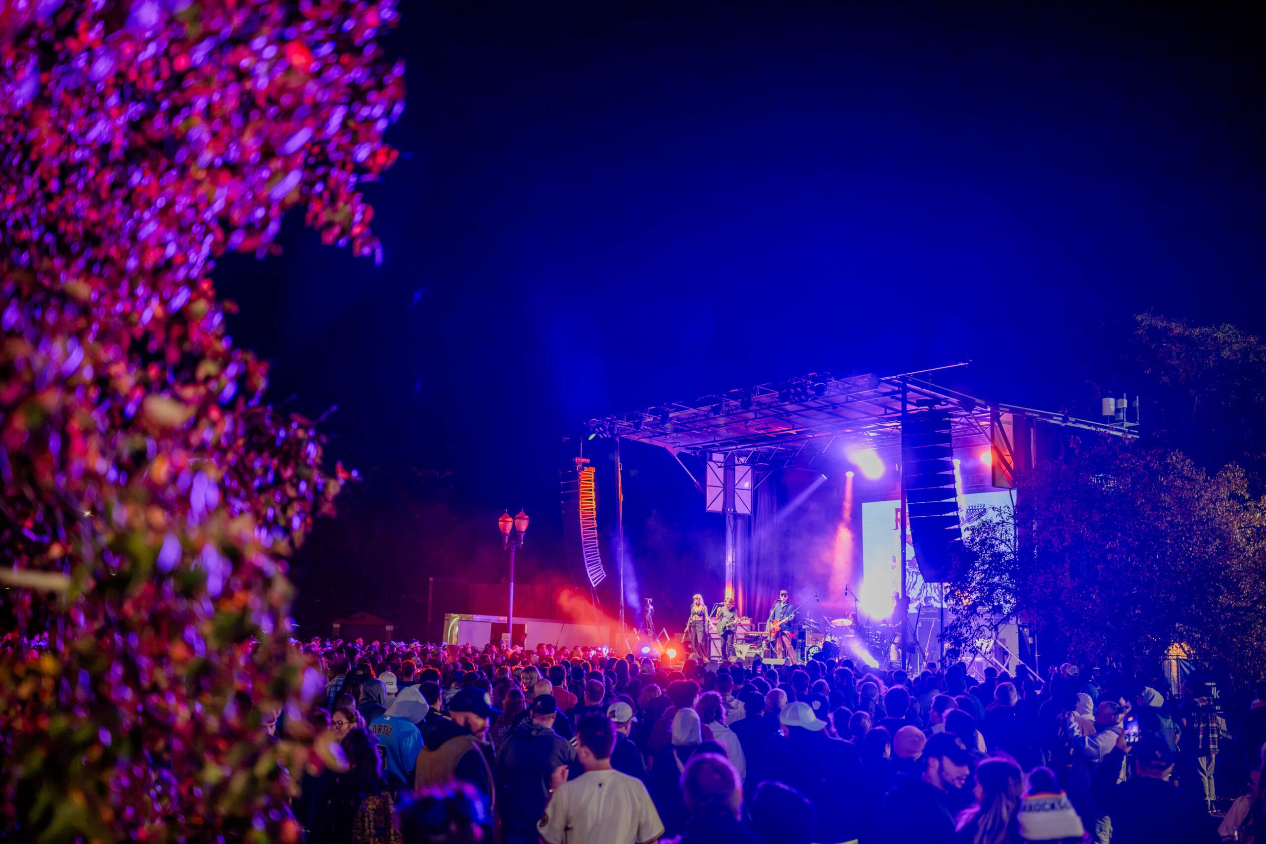 Crowd watches band perform on brightly lit stage at night, with purple foliage in foreground.